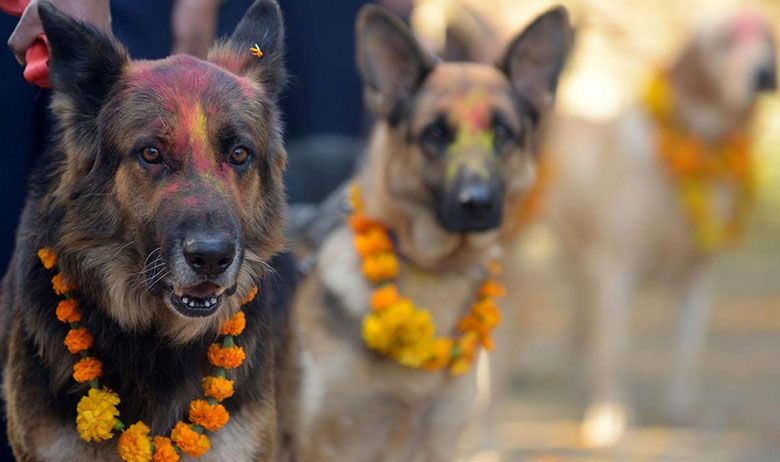 Kukur Tihar