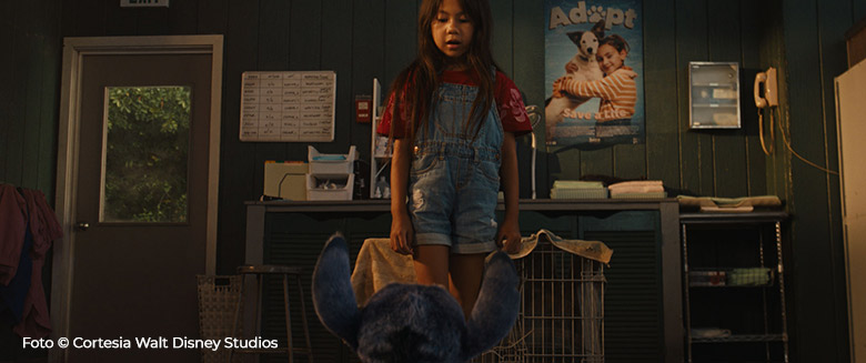 Lilo y Stitch: Admitir cuando algo está bien hecho